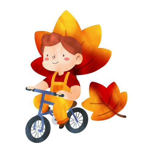 Sonbahar Kutusu 24-36 Ay